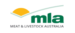 MLA